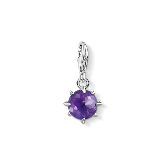 Thomas Sabo Anhänger Charm-Club Geburtsstein Februar 925 Sterling Silber Amethyst Zirkonia Violett 1792-169-13 Thomas, Sabo, Anhänger, Charm-Club, Geburtsstein, Februar, 925, Sterling, Silber, Amethyst, Zirkonia, Violett, 1792-169-13, Zubehor, Edelstein, Schmuck, Ornament, Amethyst