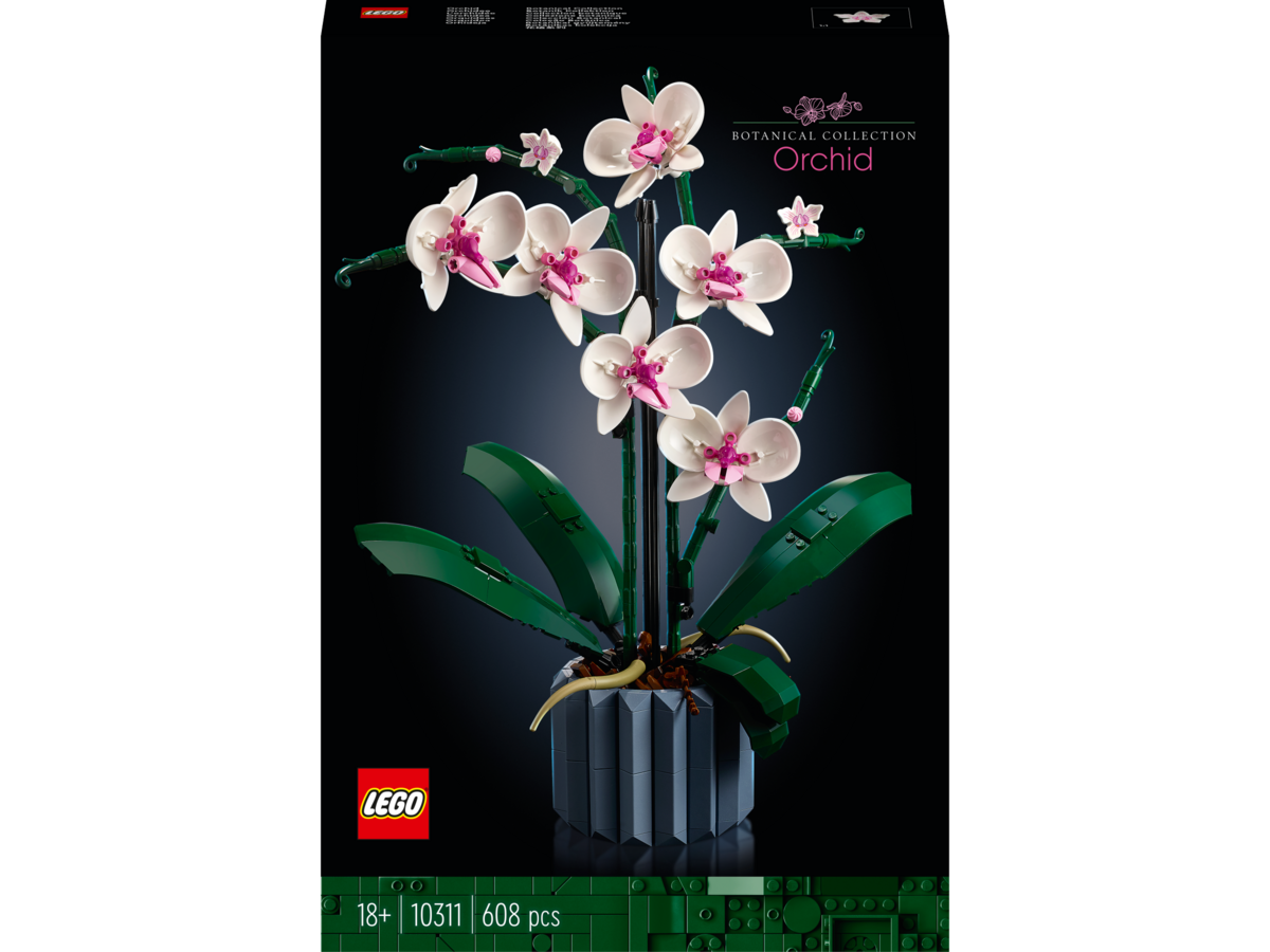 Blume, Pflanze, Blumen-Arrangement, Orchidee