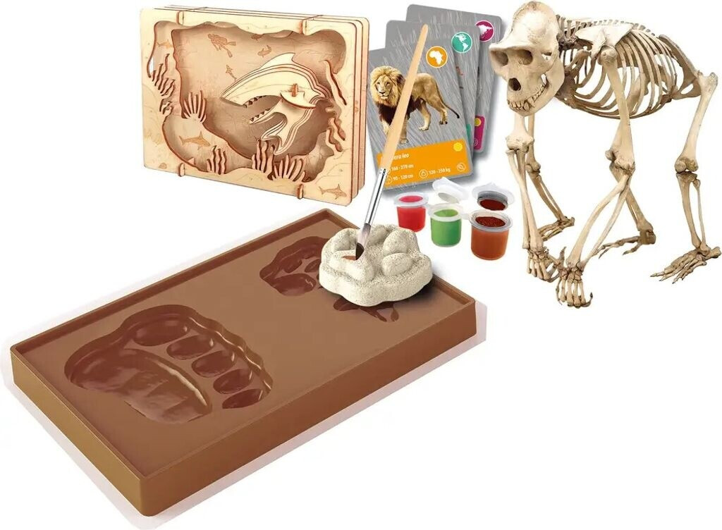 Entdeckungs-Set ''Tiere auf unserer Erde Entdeckungs-Set ''Tiere auf unserer Erde