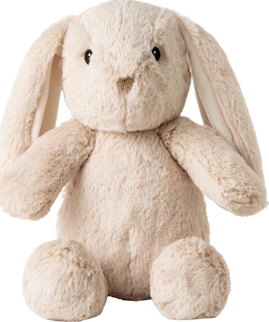 Plüsch, Spielzeug, Teddybär, Plüsch, Spielzeug, Teddybär