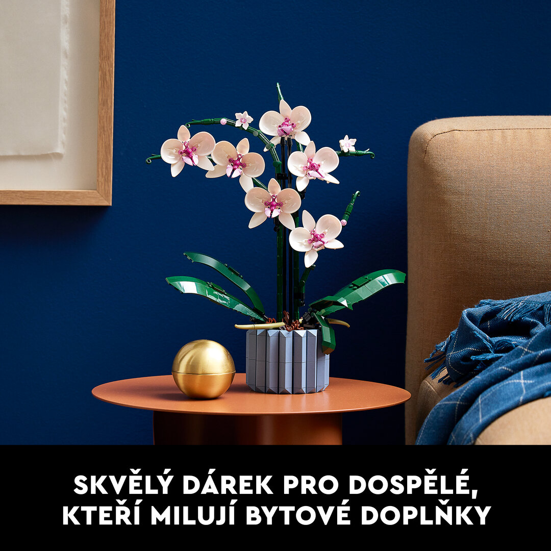 Blume, Blumen-Arrangement, Pflanze, Ikebana