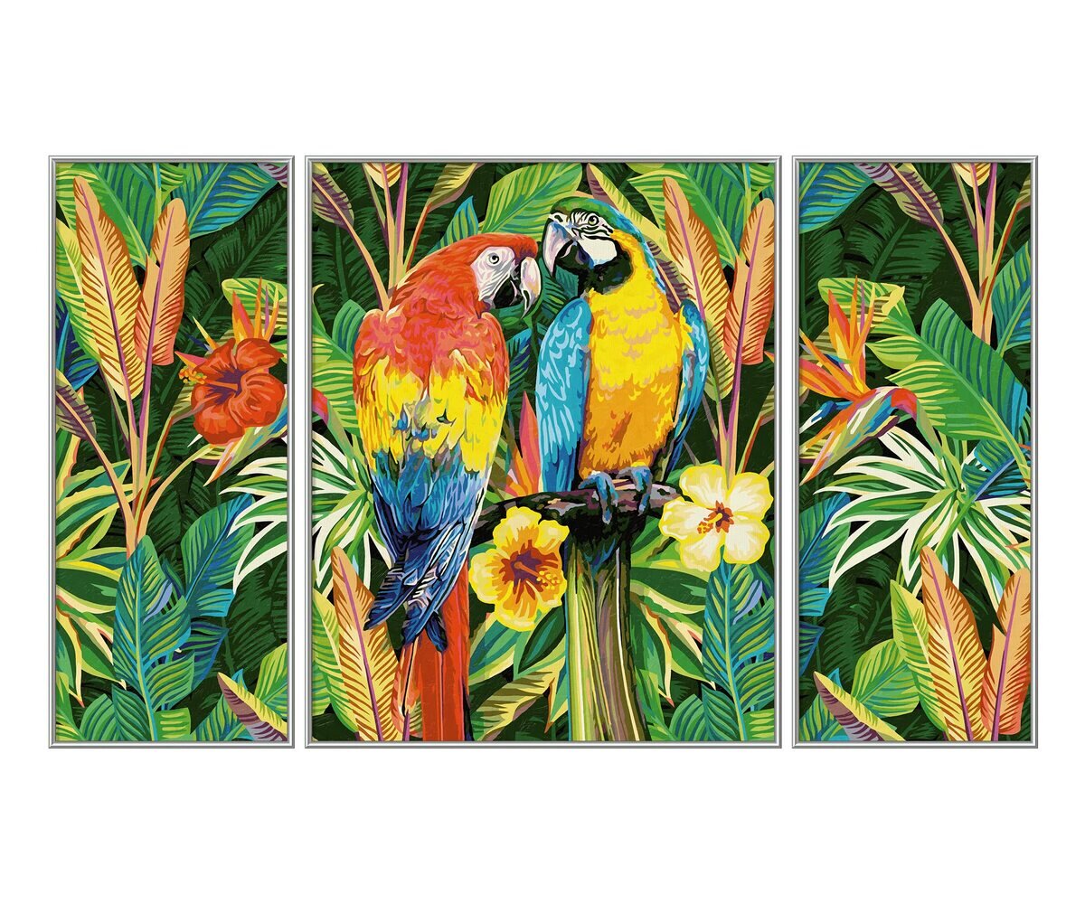 Tier, Vogel