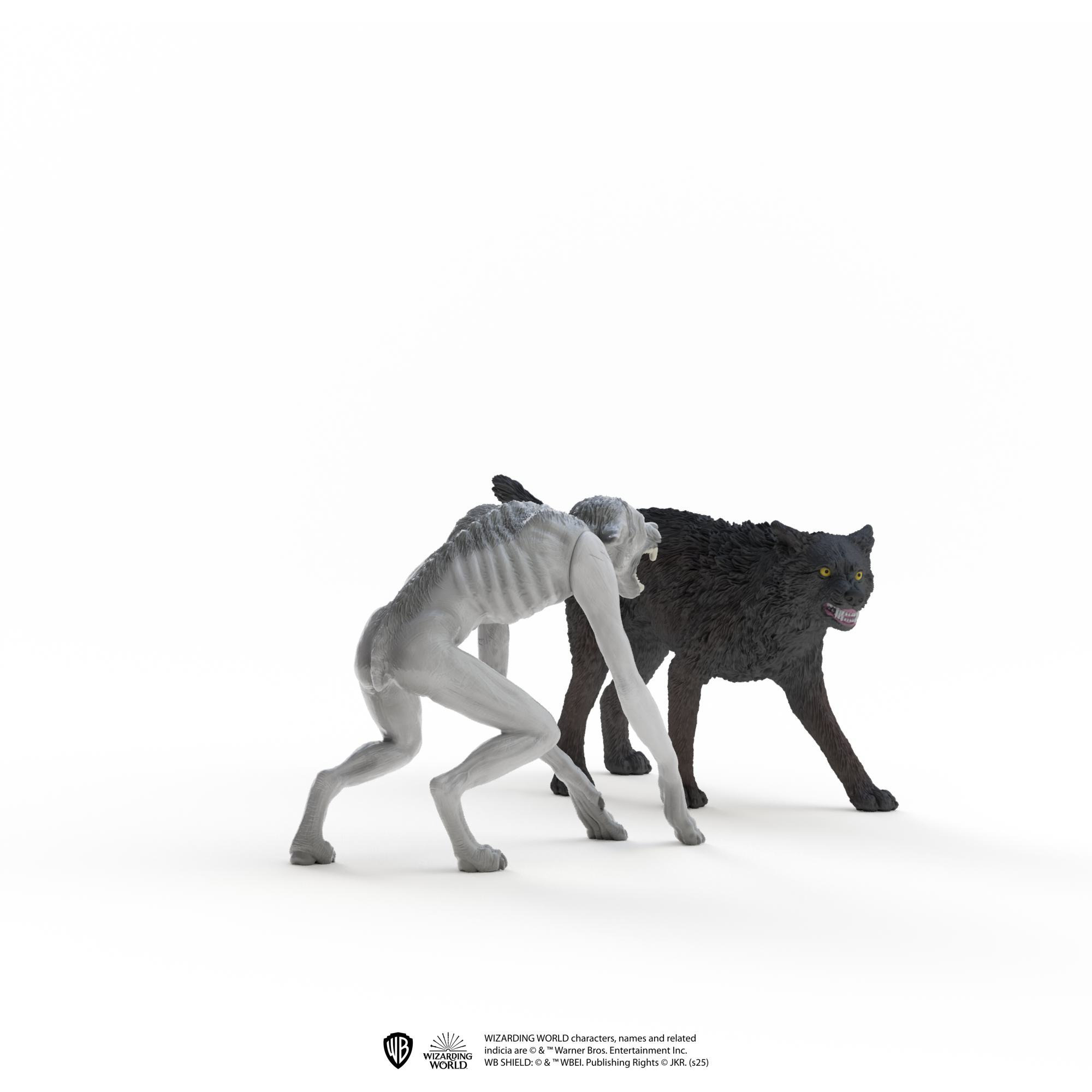 Person, Hund, Säugetier, Haustier