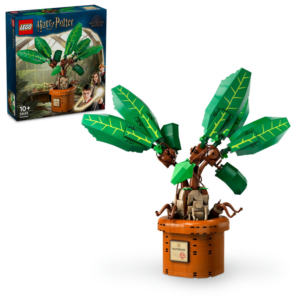 Blatt, Topfpflanze, Spielzeug, Person, Baum