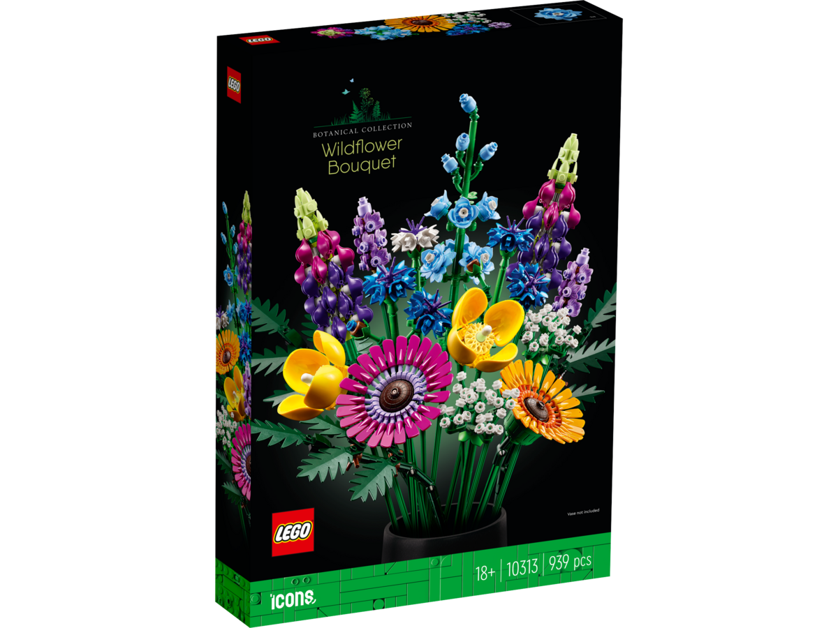 Blume, Purpur, Blumen-Arrangement, Grafiken, Kräuter