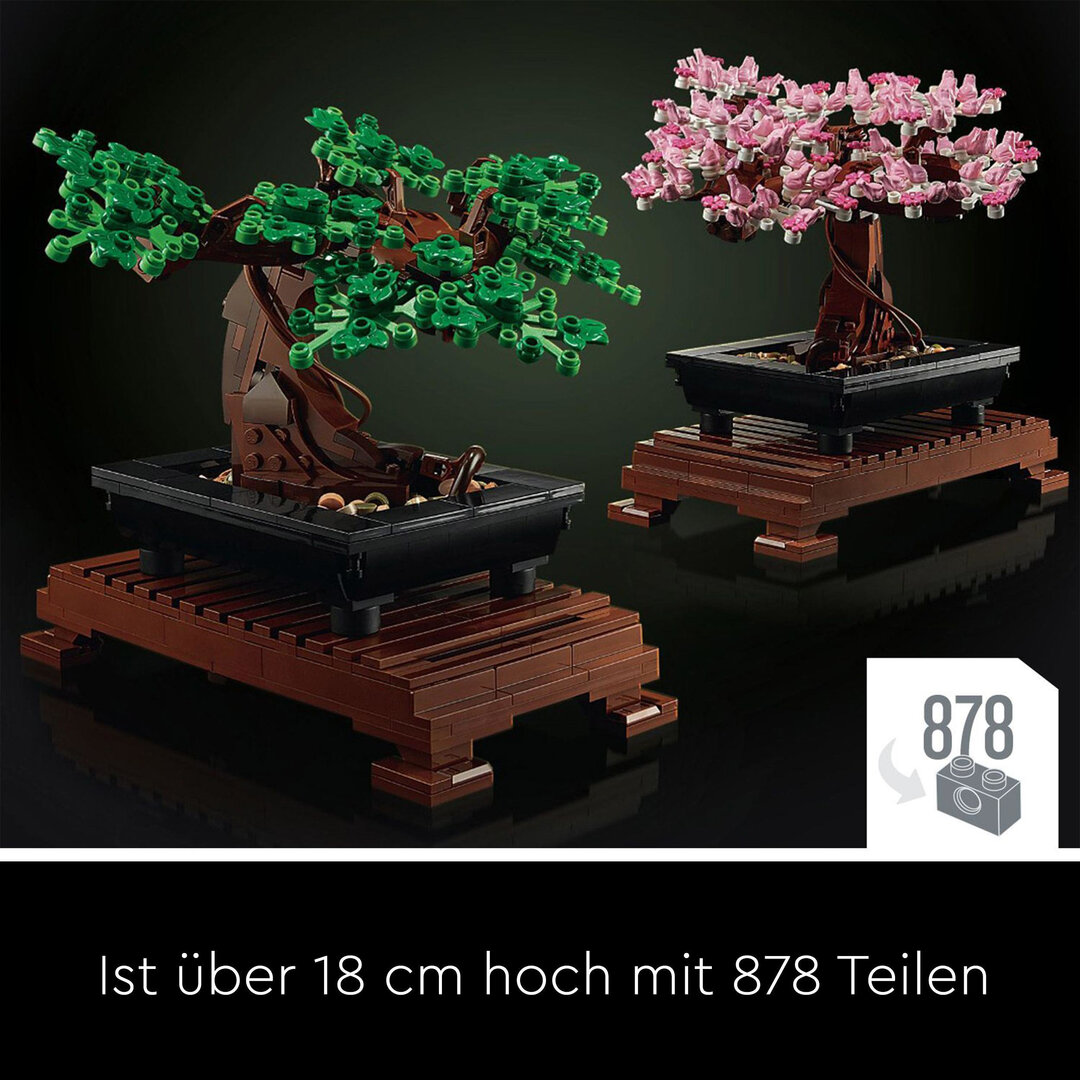 Pflanze, Pflanze im Topf, Baum, Bonsai, Blume