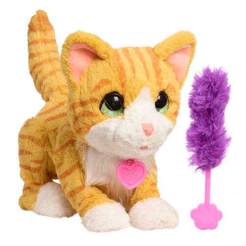 Plüsch, Spielzeug, Teddybär