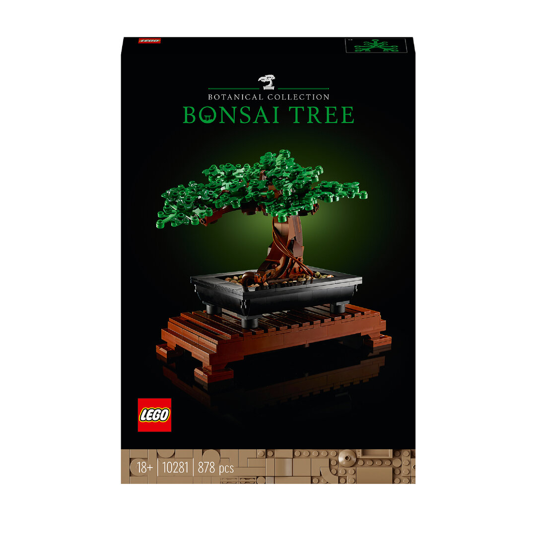 Pflanze, Pflanze im Topf, Baum, Bonsai