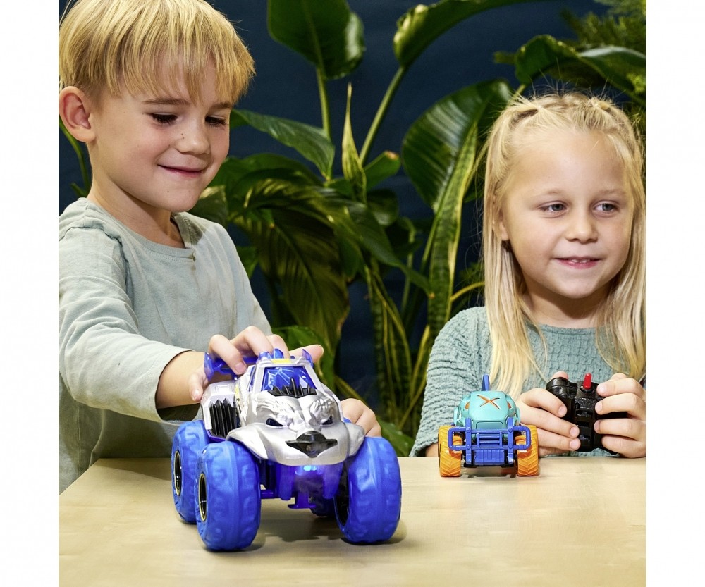 Kind, Weiblich, Mädchen, Person, Junge