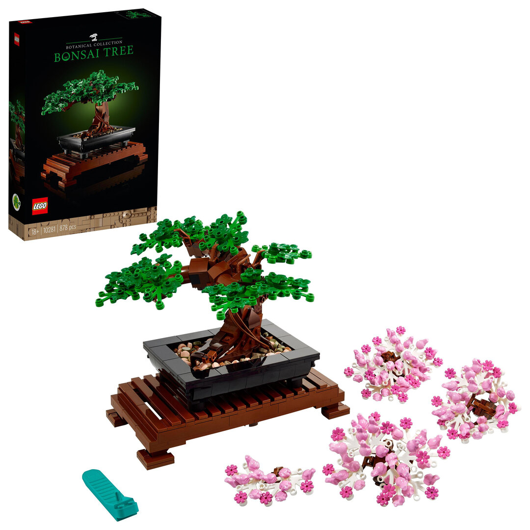 Topfpflanze, Baum, Spielzeug, Blume, Bonsai