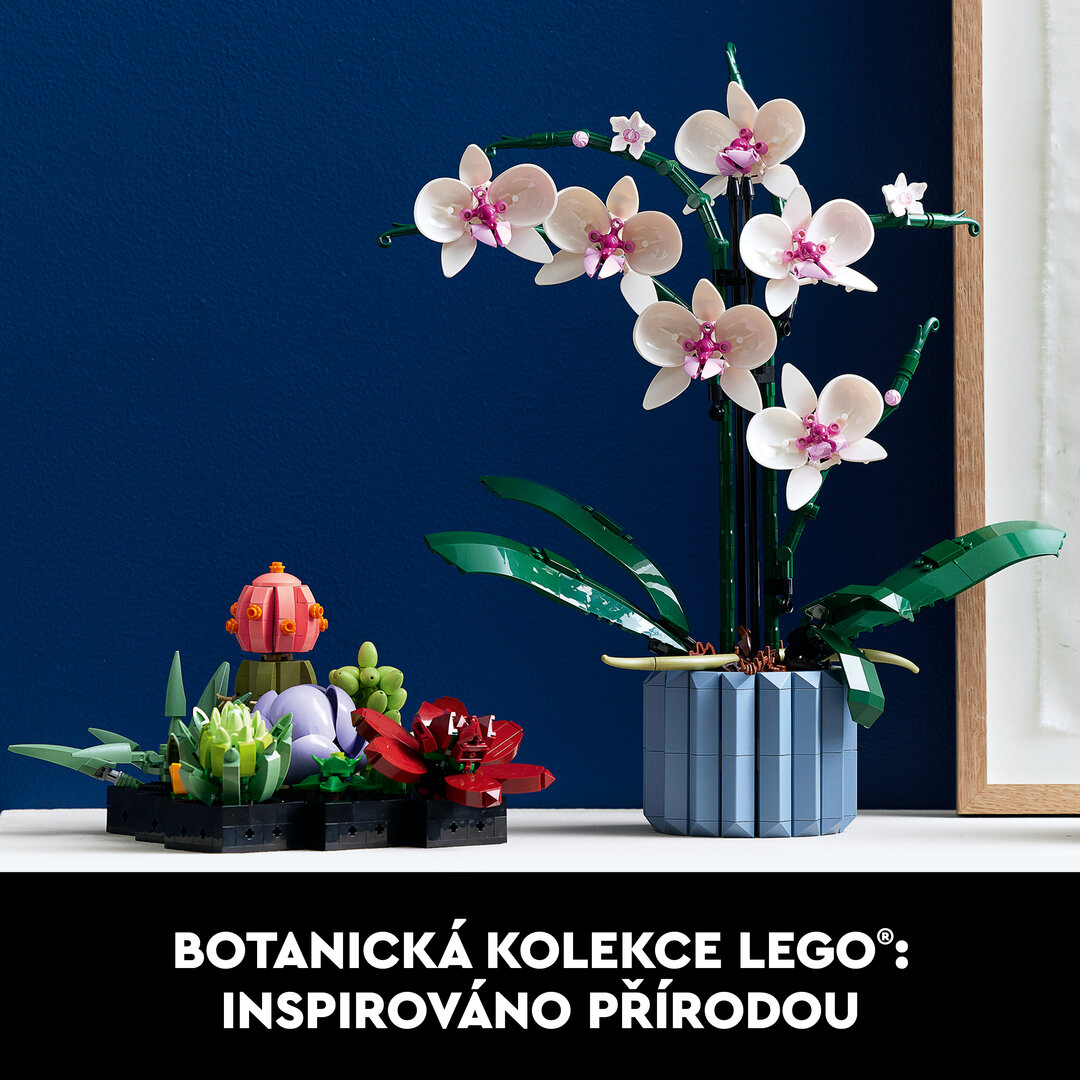 Blume, Blumen-Arrangement, Pflanze, Ikebana, Blumenstrauß