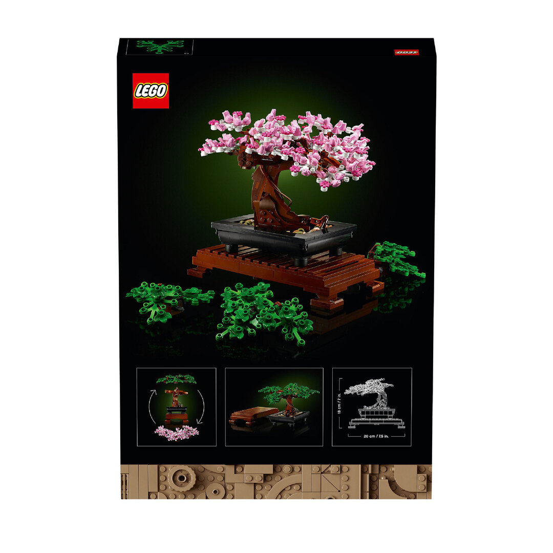 Topfpflanze, Baum, Blume, Blumen-Arrangement, Bonsai
