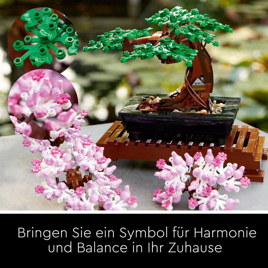 Pflanze, Pflanze im Topf, Baum, Blume, Blumen-Arrangement