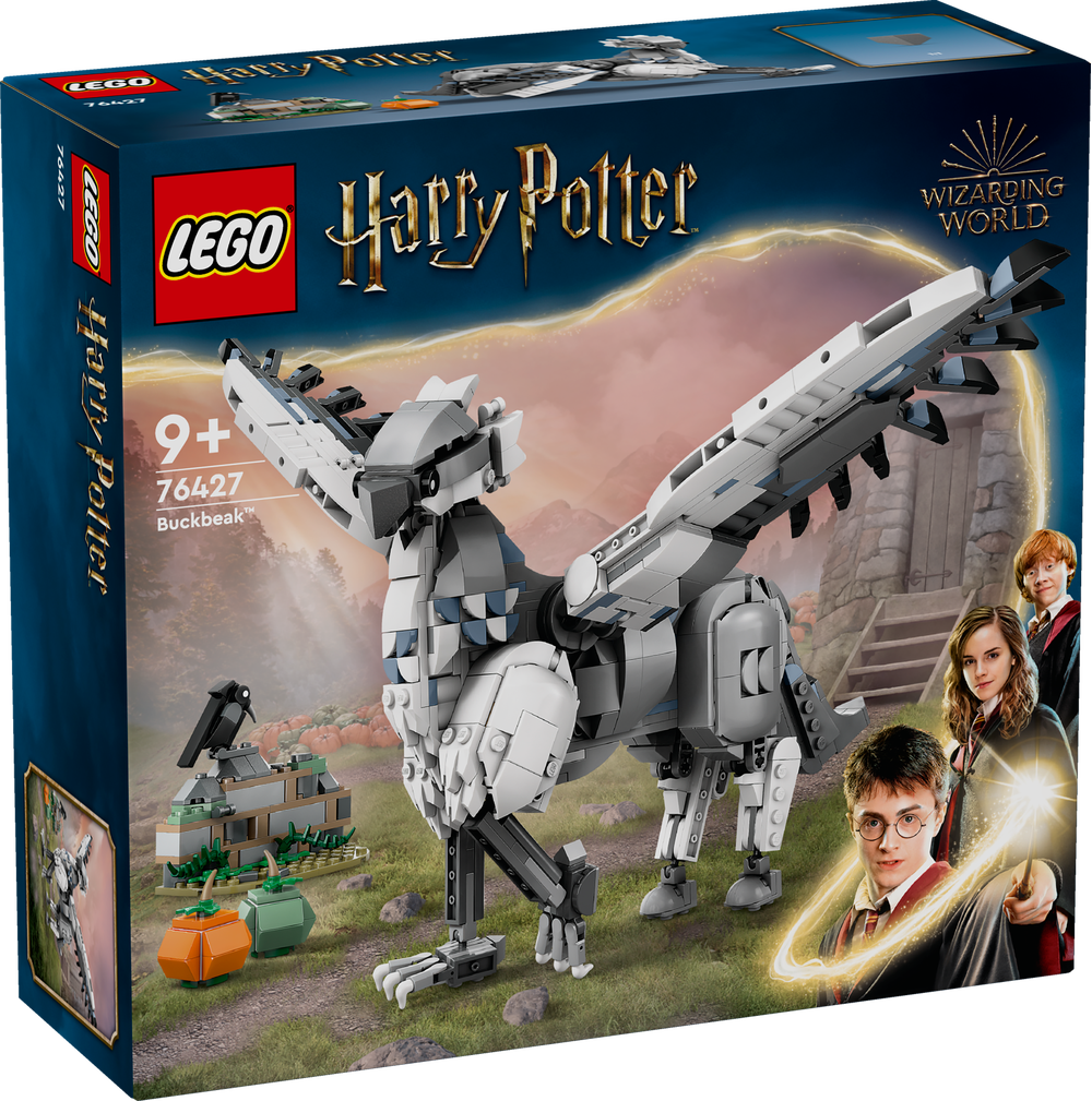 LEGO_76427_Harry_Potter™_Hippogreif_Seidenschnabel, Person, Gesicht, Kopf