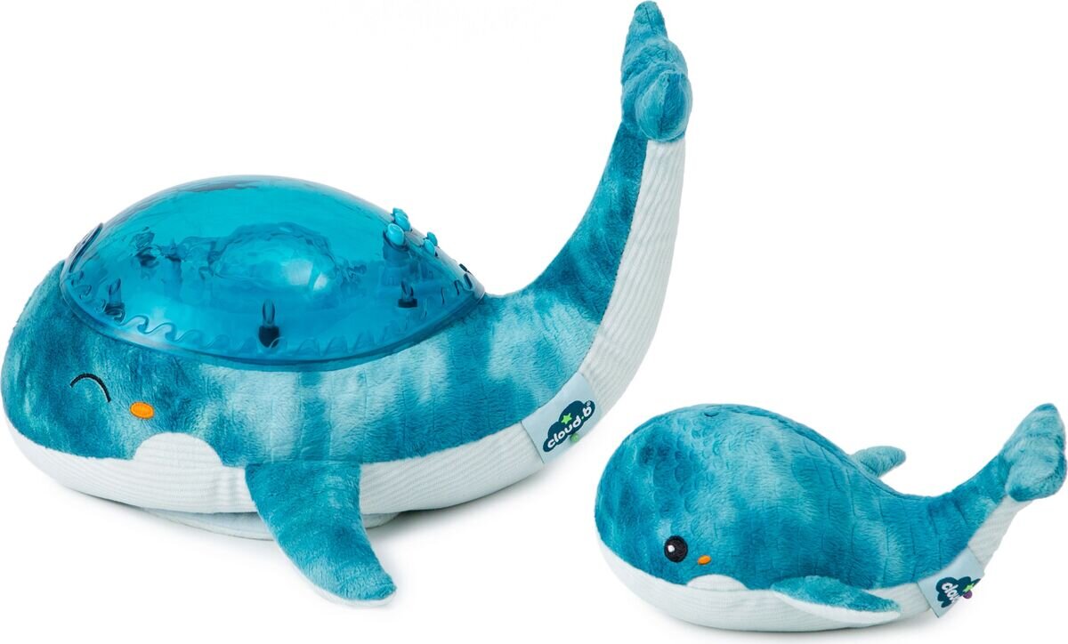 Plüsch, Spielzeug, Türkis, Schwimmen, Wassersport